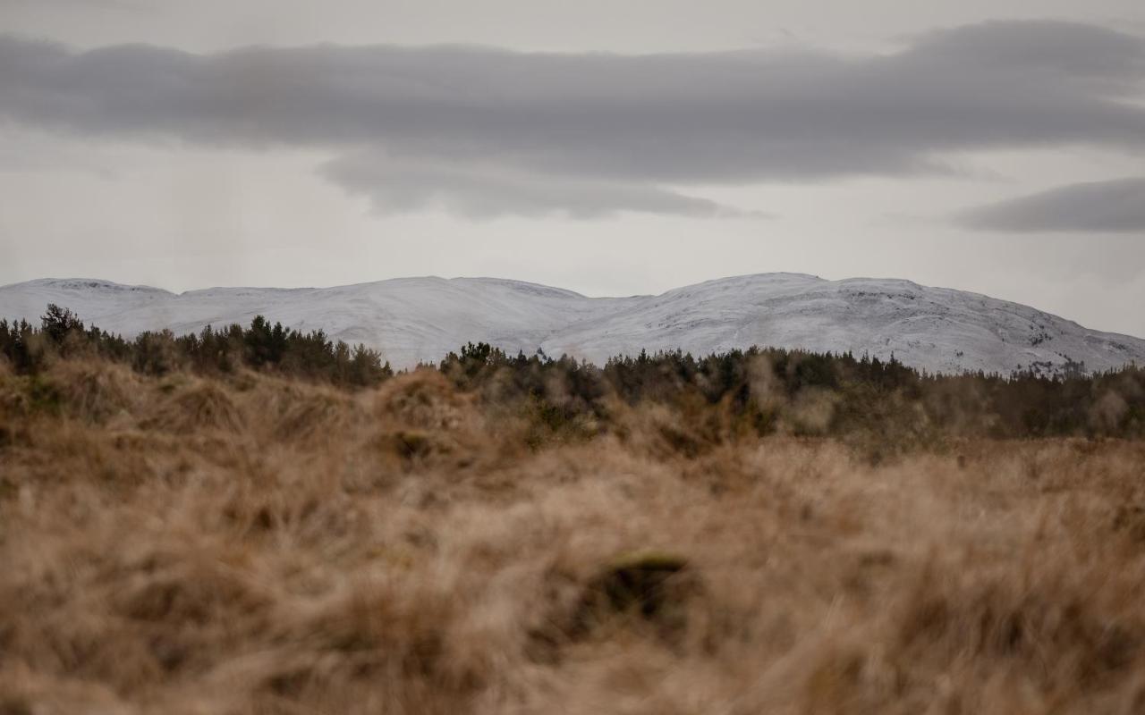 Highland Shepherd Huts Nethy Bridge Esterno foto